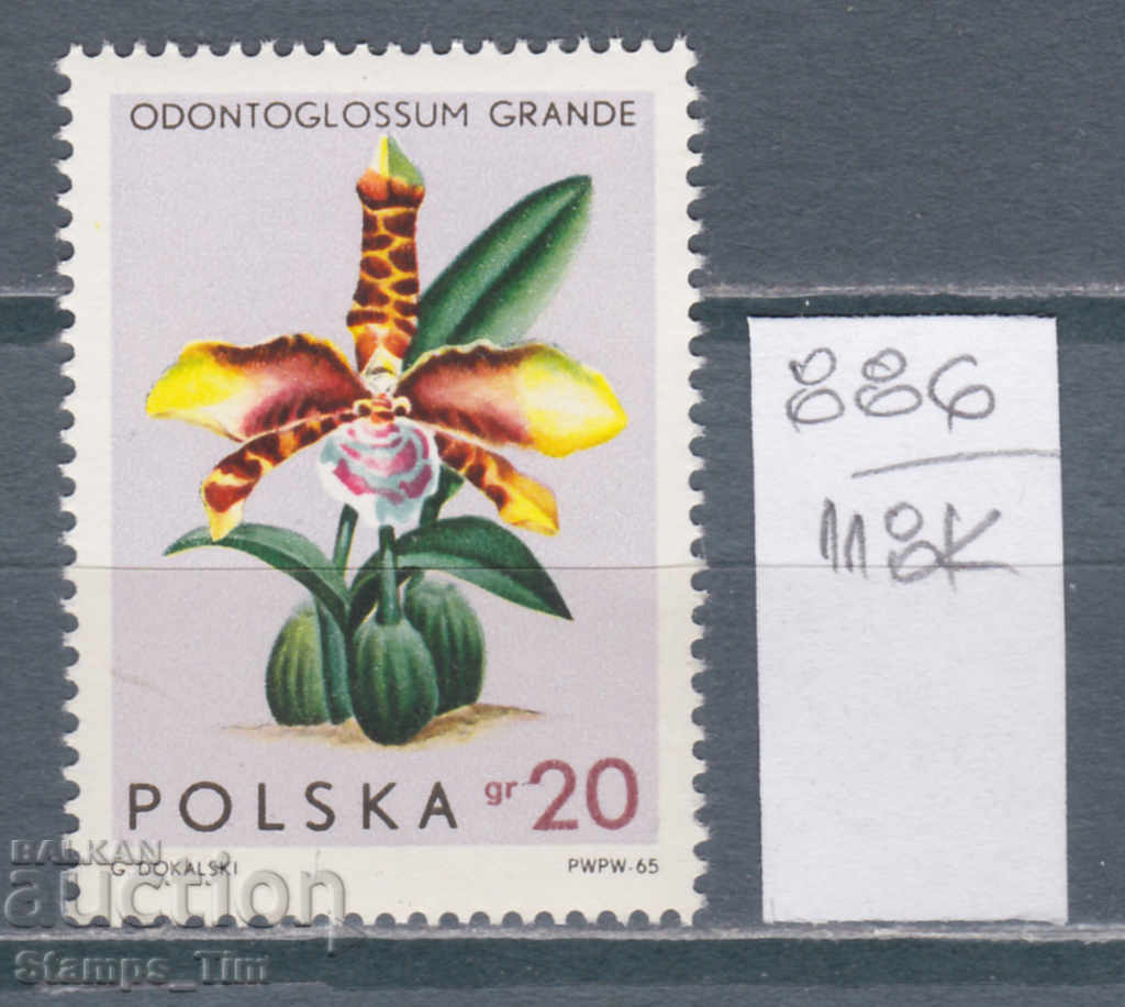 118К886 / Полша 1965 Флора - цвете орхидея (**)