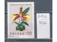 118K886 / Polonia 1965 Flora - floare de orhidee (**)