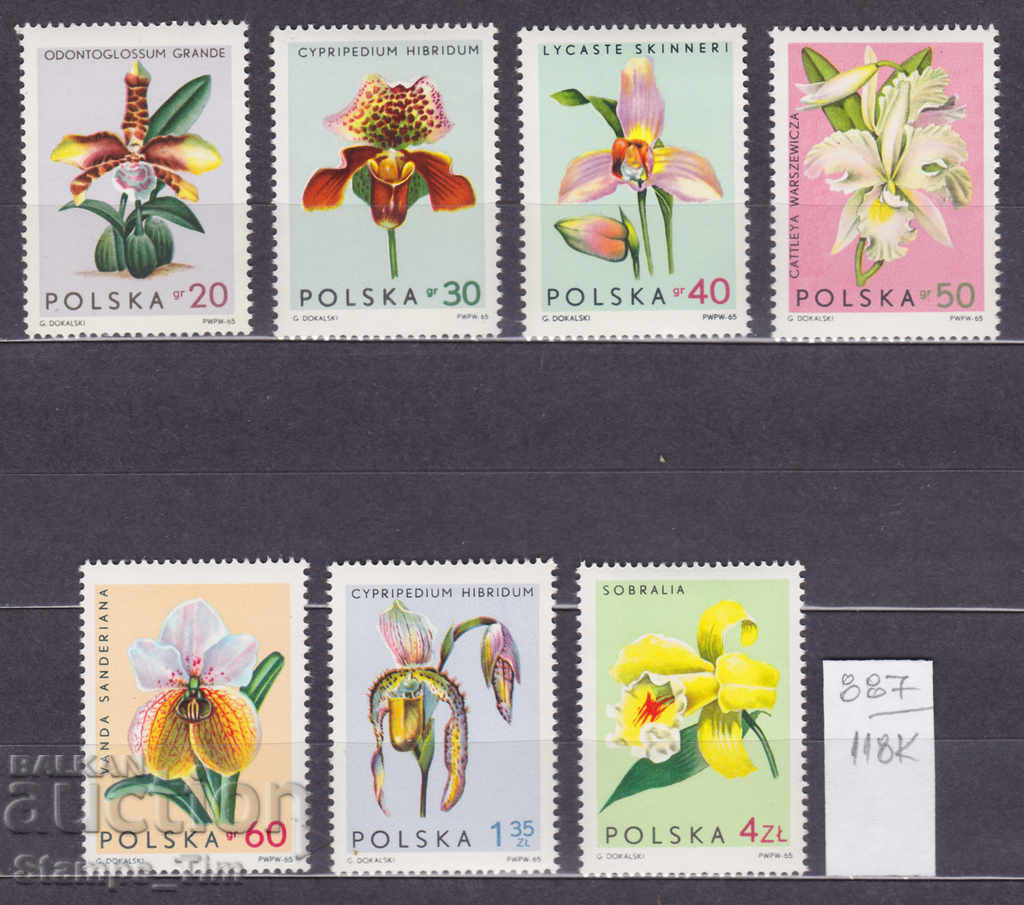 118K887 / Poland 1965 Flora - orchid flower (**)