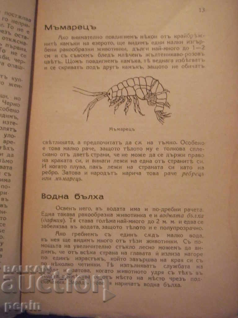 Book - By the water with price 3.00 BGN | € 1.53 Book - By the water with price 3.00 BGN | € 1.53