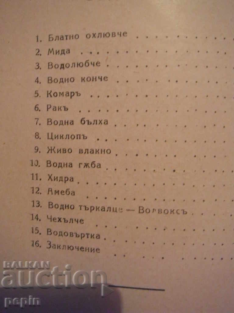 Auction Book - By the water Auction Book - By the water