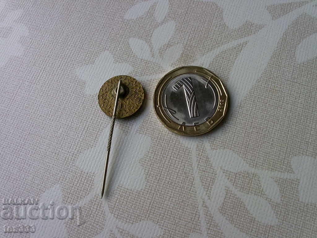 Livrarea Pictograma linie Sportclub Dinamo Hoppegarten Livrarea Pictograma linie Sportclub Dinamo Hoppegarten