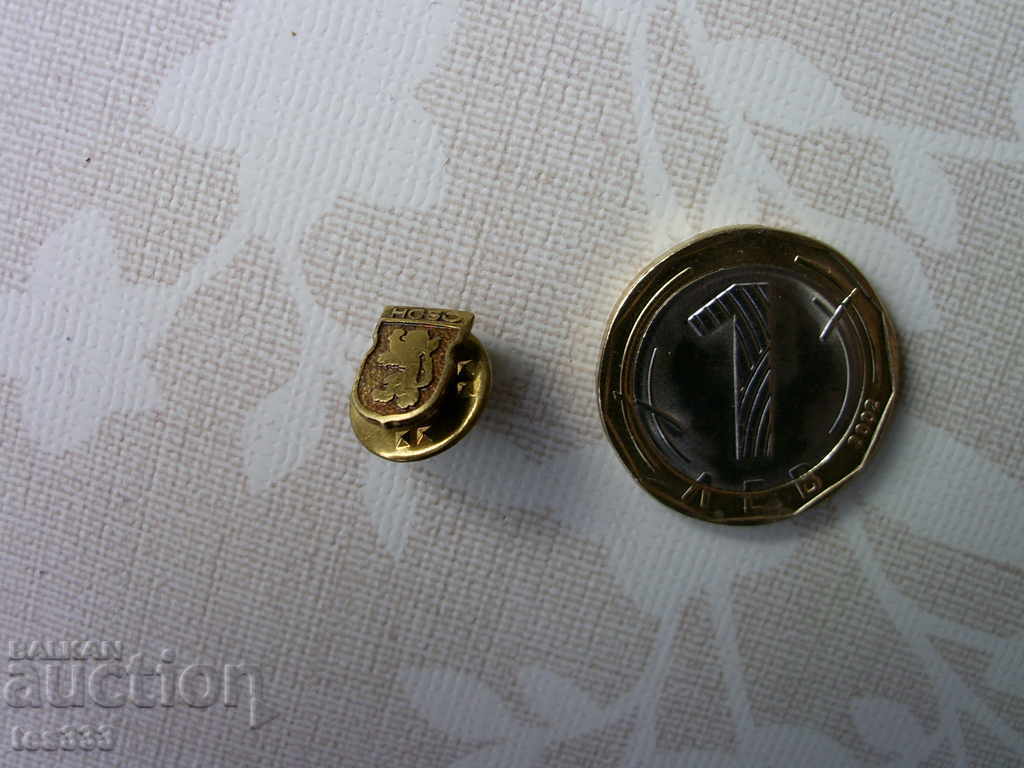 NSBO NATIONAL UNION "SECURITY AND SECURITY" badge pin