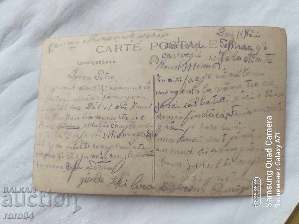 HUNTERS - RIFLES - BOARS - DOGS - 6 HUNTERS - RIFLES - BOARS - DOGS - 6