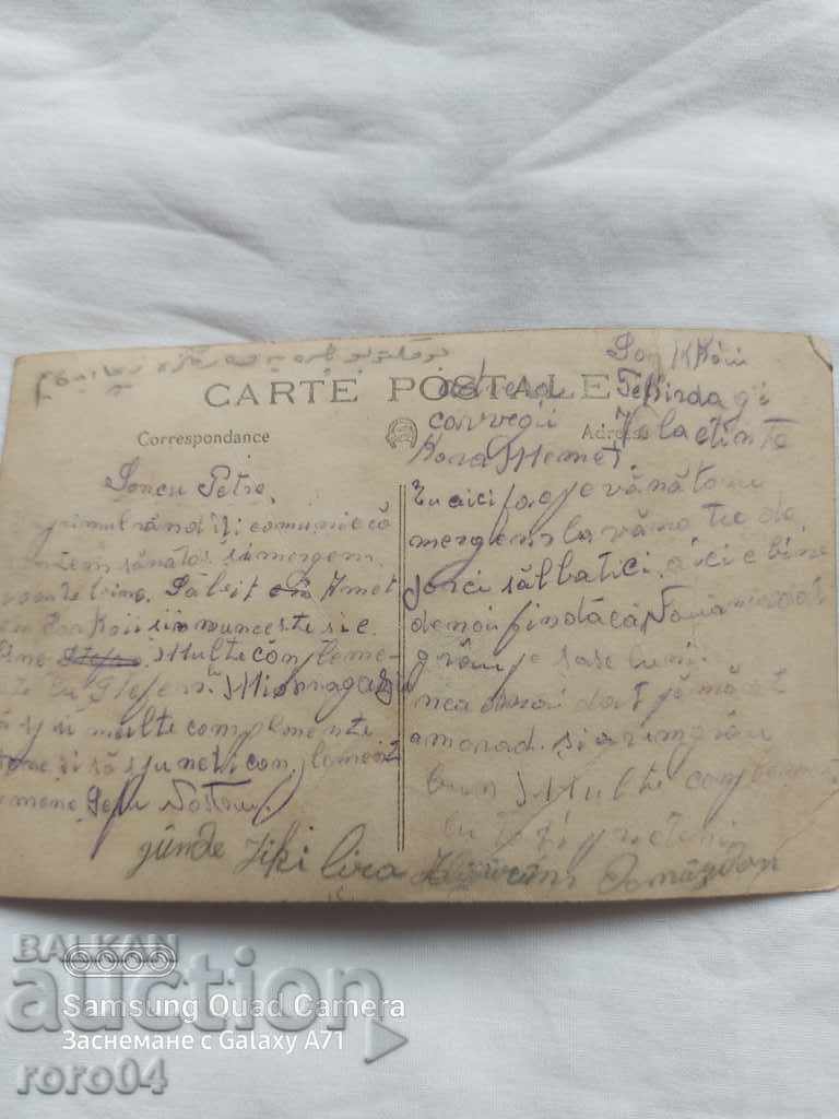 VÂNĂTORI - PUȘTI - VIERI - CÂINI - 7