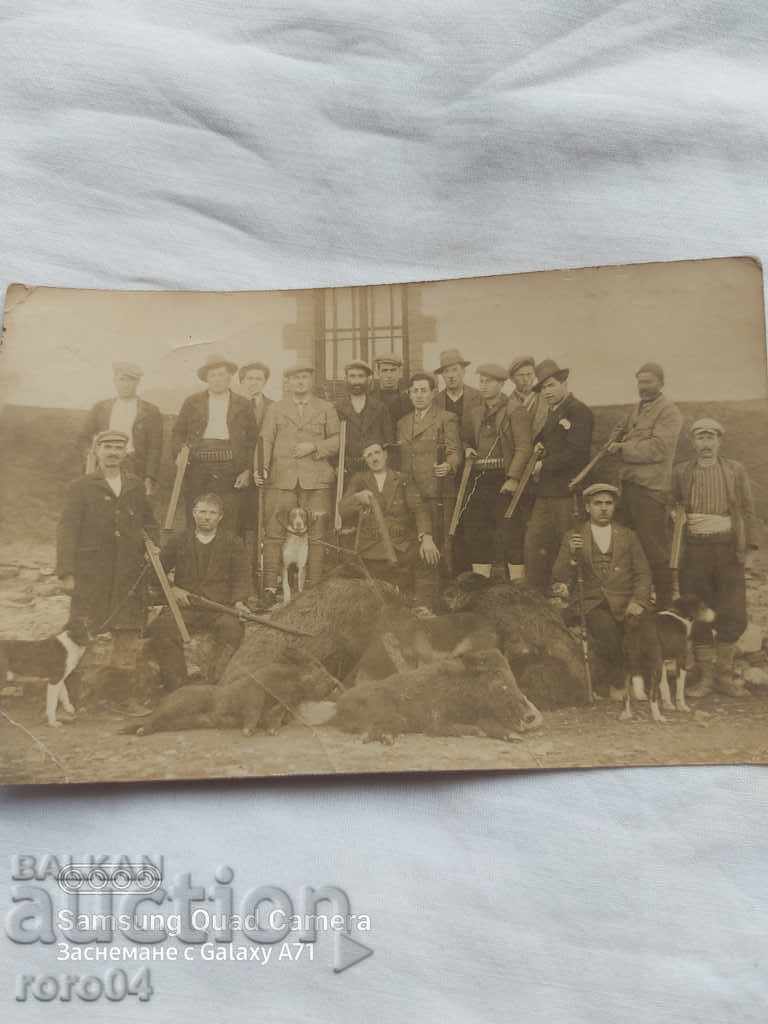 VÂNĂTORI - PUȘTI - VIERI - CÂINI