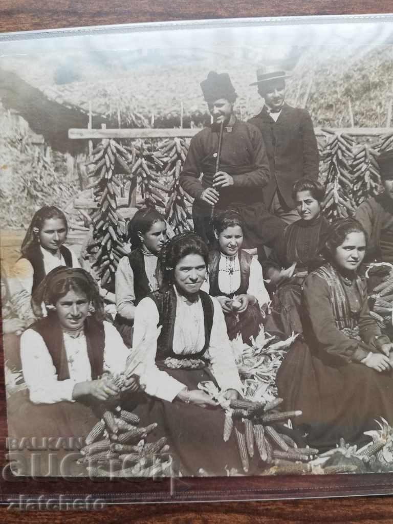 Postcard - picture with price 20.00 BGN | € 10.23