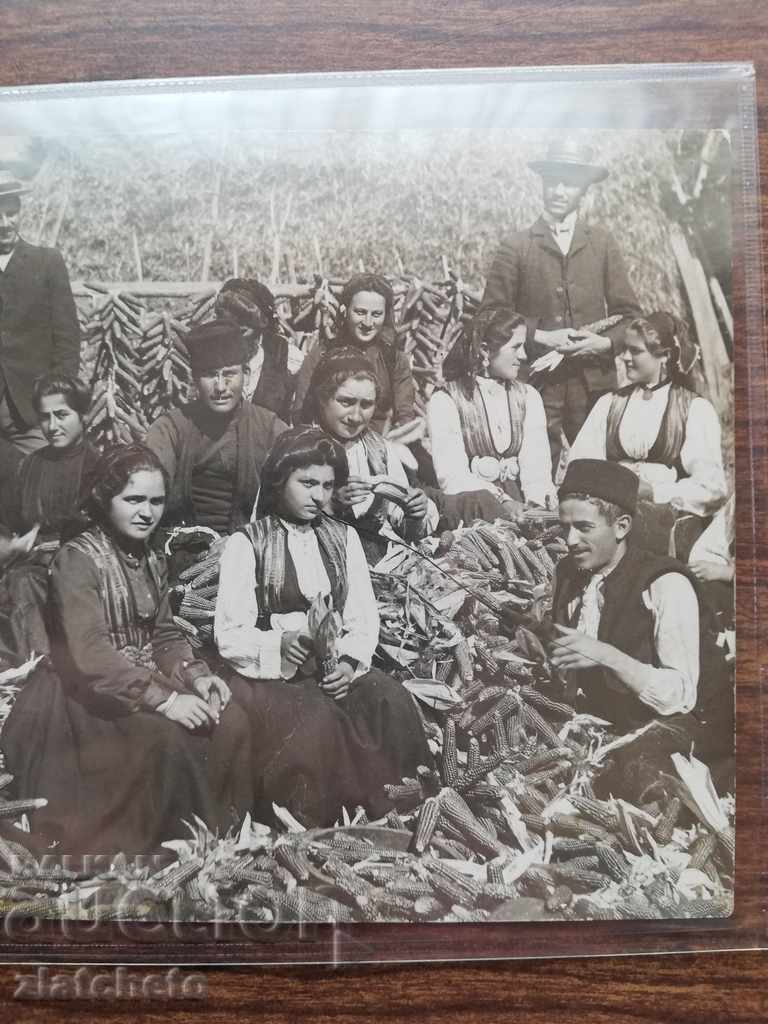 Auction  Postcard - picture