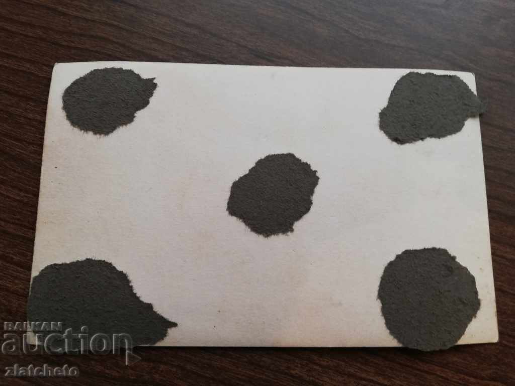 Auction Old photo - Auction Old photo -