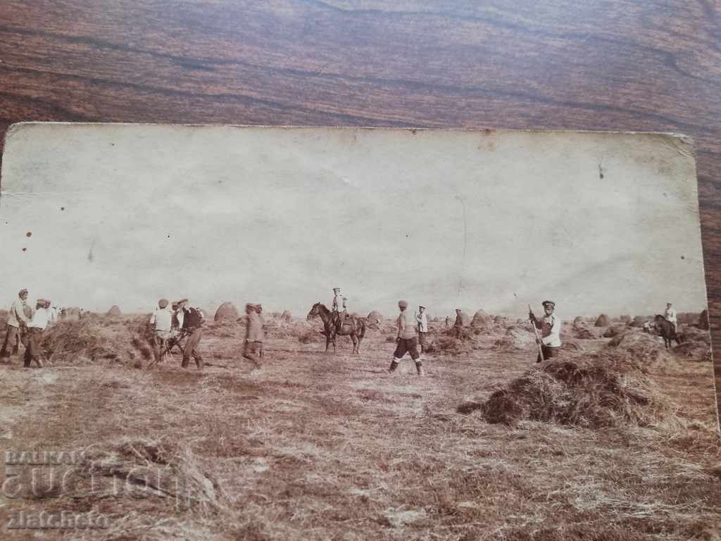 Vechea imagine - cu preț 5.00 BGN | € 2.56 Vechea imagine - cu preț 5.00 BGN | € 2.56