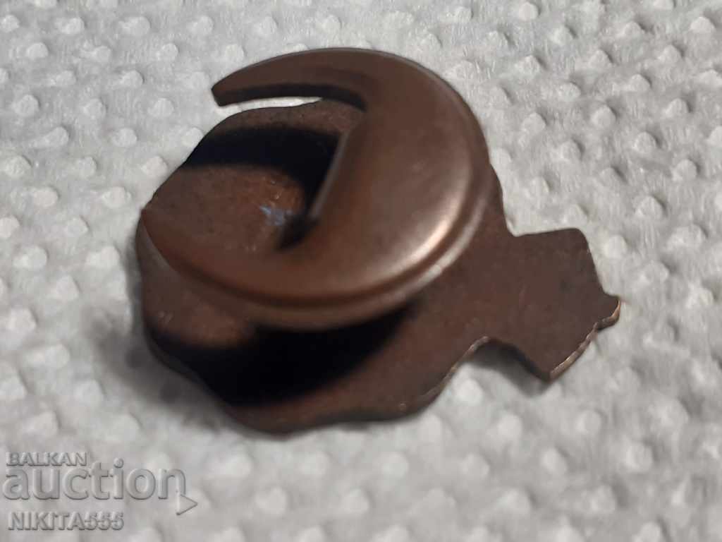 Rare badge '' National Pigeon Service '' (NPS) - 6 Rare badge '' National Pigeon Service '' (NPS) - 6