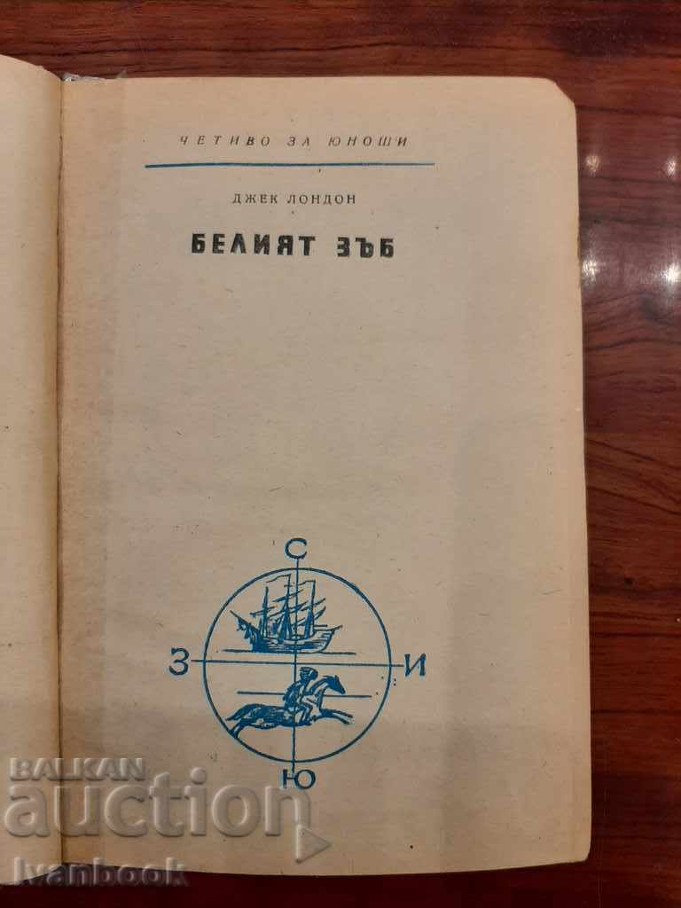 Auction  Library - Reading for teenagers - The White Tooth