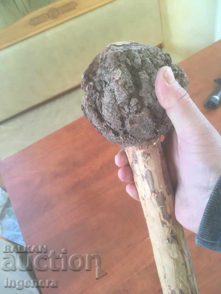 BODY SCULPTED BY NATURE UNIQUE AND UNIQUE with price 87.00 BGN | € 44.48