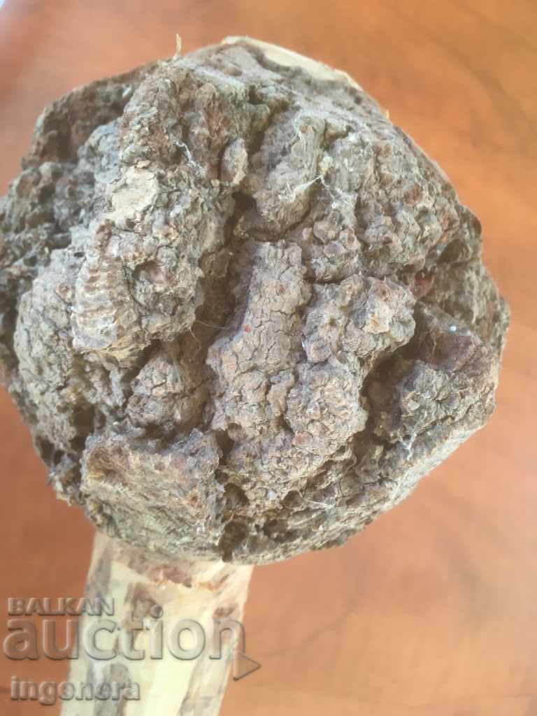 Auction  BODY SCULPTED BY NATURE UNIQUE AND UNIQUE