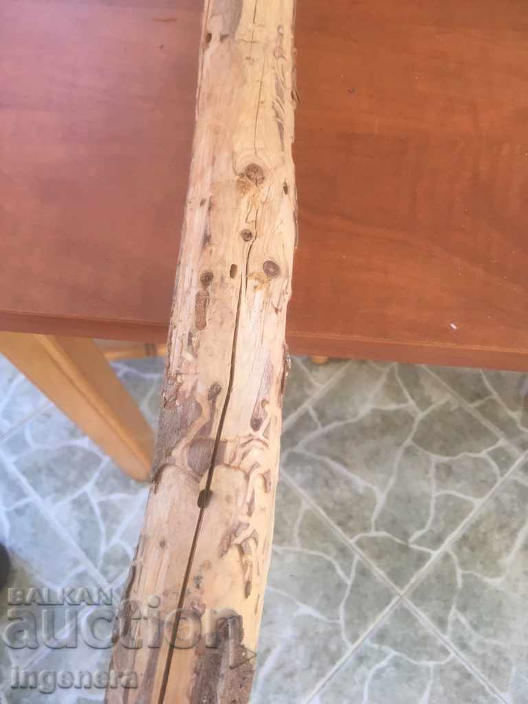 Delivery of BODY SCULPTED BY NATURE UNIQUE AND UNIQUE