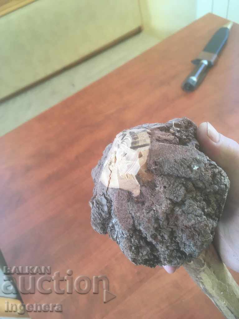 BODY SCULPTED BY NATURE UNIQUE AND UNIQUE - 6