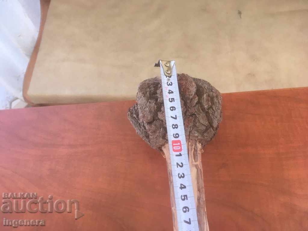 BODY SCULPTED BY NATURE UNIQUE AND UNIQUE - 7