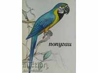 Papagali - Album pentru colorat