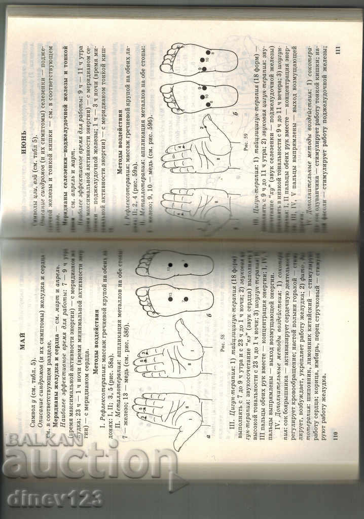 Auction ESSAY OF EASTERN MEDICINE - W. WEISIN / IN RUSSIAN / Auction ESSAY OF EASTERN MEDICINE - W. WEISIN / IN RUSSIAN /