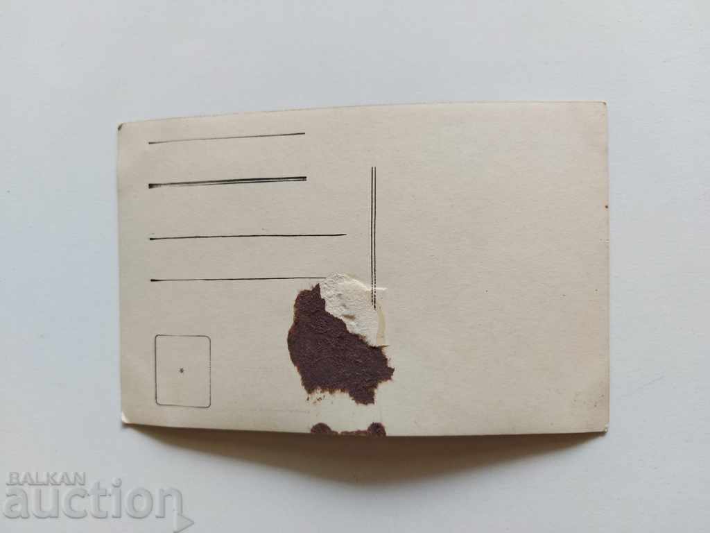 Auction OLD PHOTO PHOTOGRAPHY SUKMAN NANIZ PENDARI KINGDOM Auction OLD PHOTO PHOTOGRAPHY SUKMAN NANIZ PENDARI KINGDOM