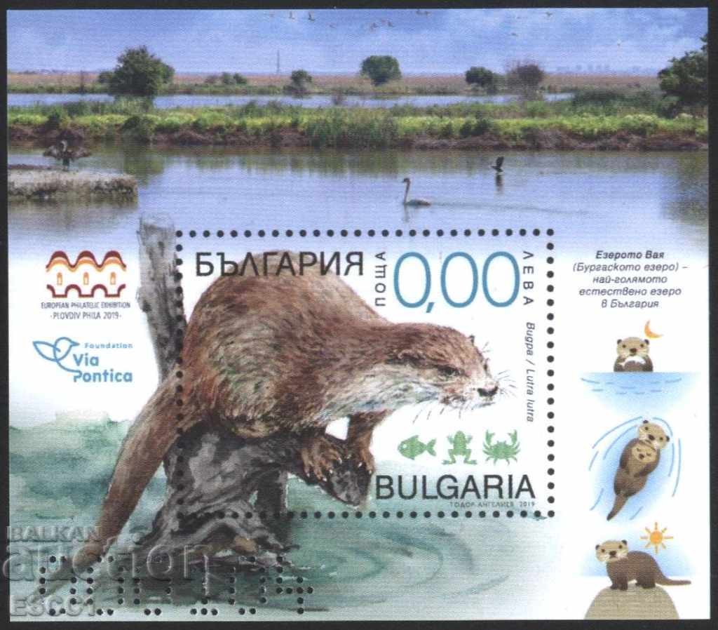 Souvenir block Ecology Fauna Otter 2019 from Bulgaria