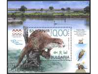 Bloc suvenir Ecologie Fauna Otter 2019 din Bulgaria
