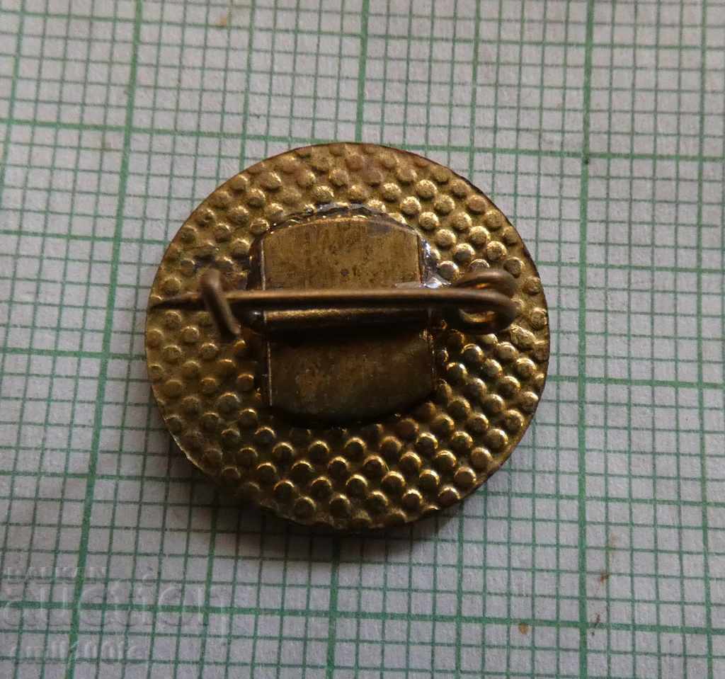 Delivery of Badge - BGSO Red Cross Delivery of Badge - BGSO Red Cross