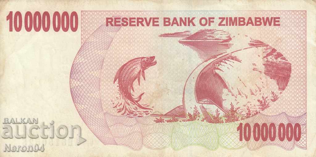 10.000.000 $ 2008, Ζιμπάμπουε