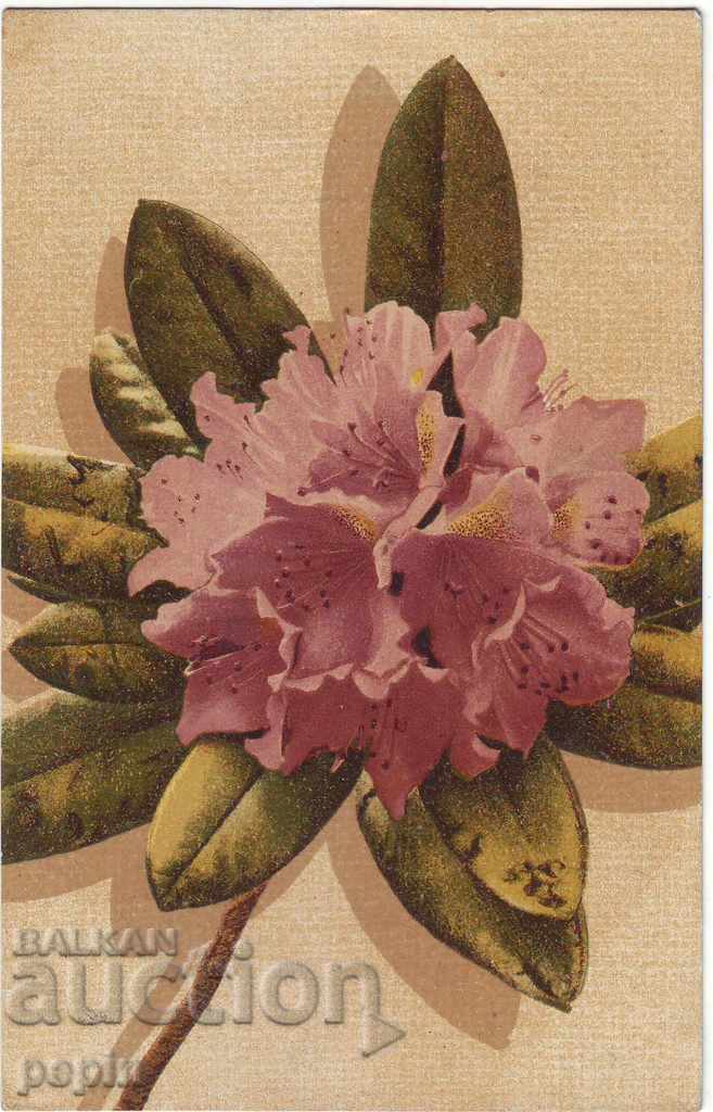 ПК -Орхидея -1919 г