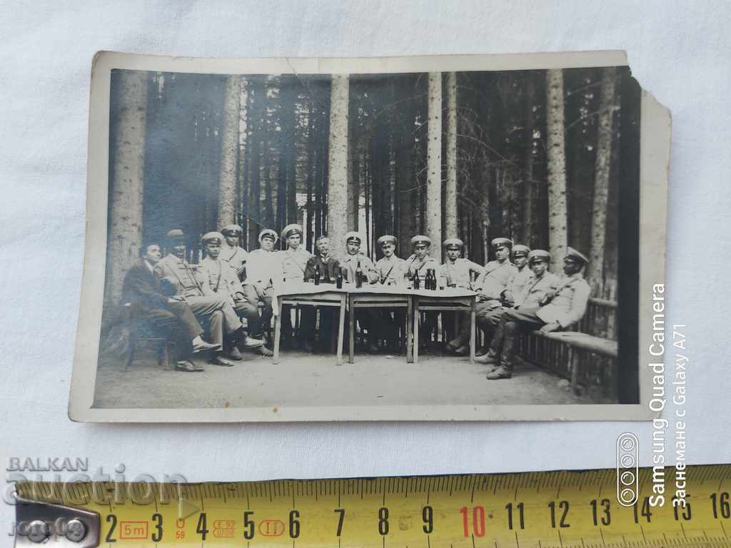 ЧАМЪ-КОРИЯ - 1929 г. с цена € 10.99 | 21.49 лв.