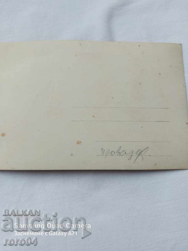 ΠΡΟΒΑΔΙΑ - 6