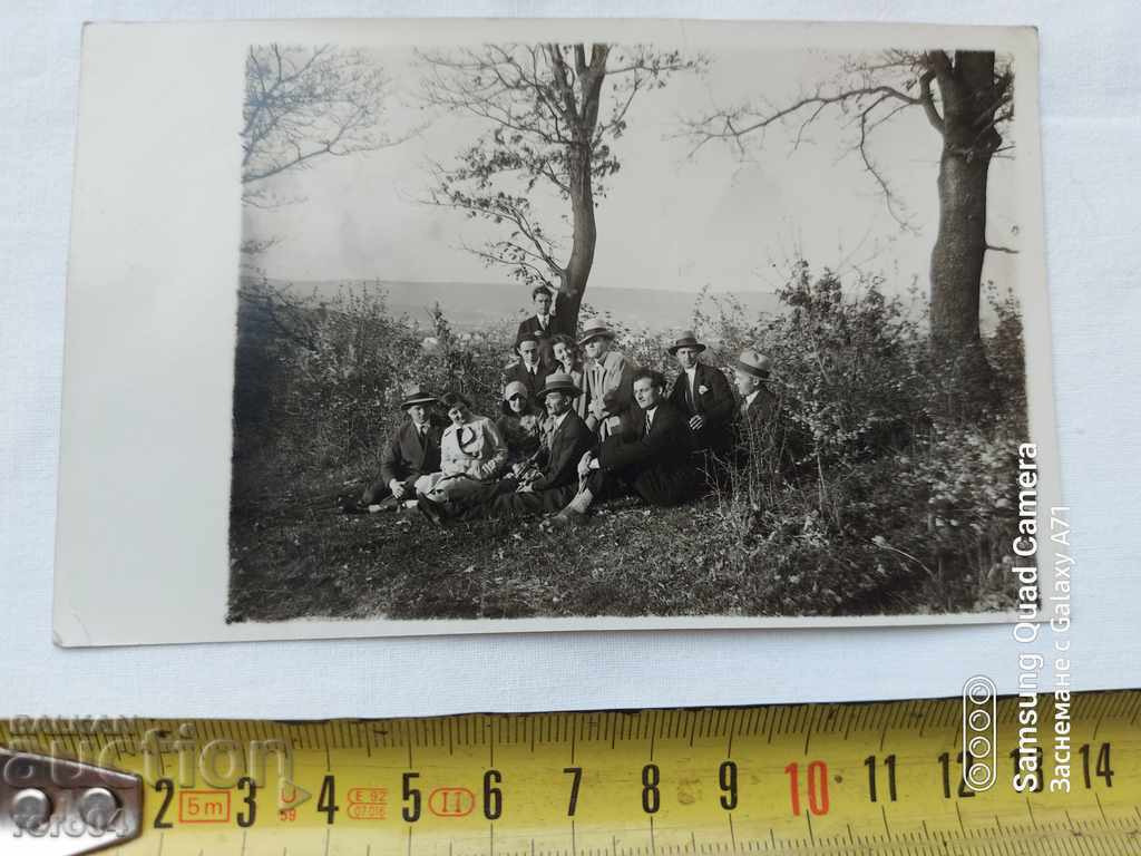 Auction PROVADIA Auction PROVADIA