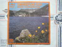 ВЕА 11797 - Пионерско ехо. Детски планинарски песни