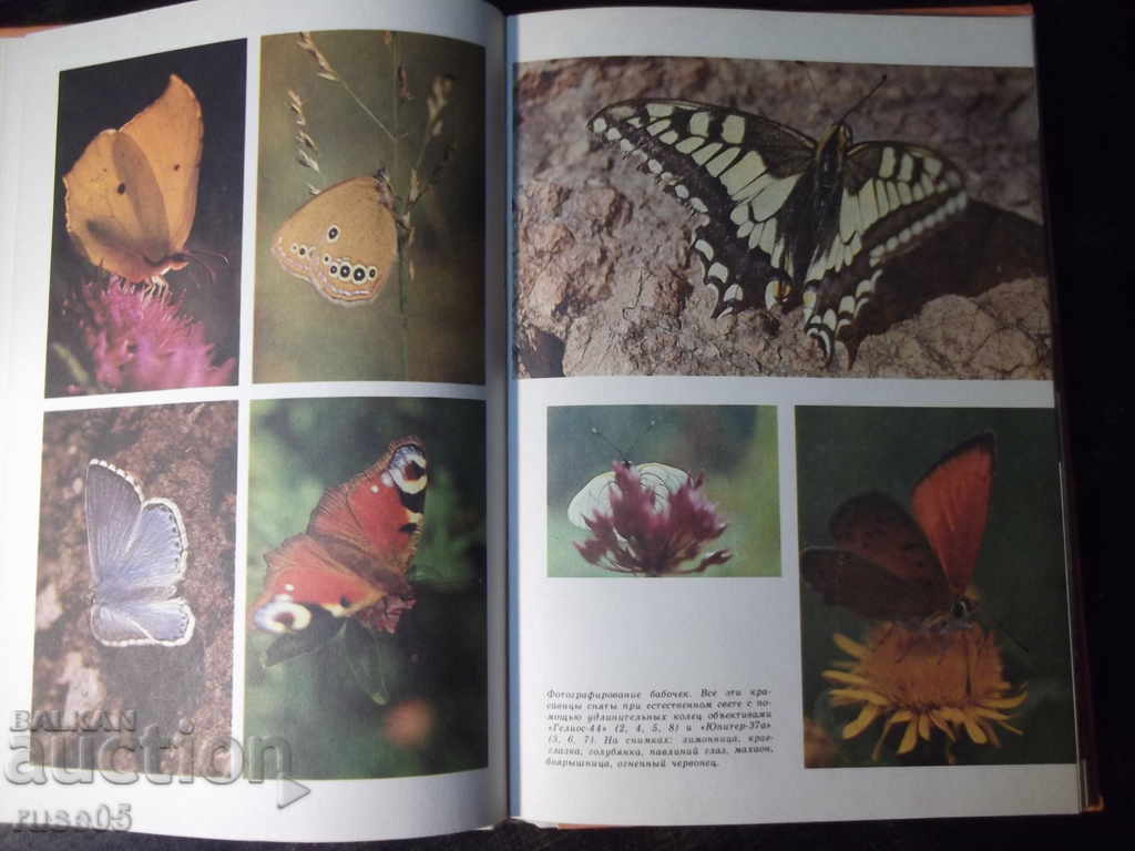 The book "Journey to the wonderful world-Yu. Arakcheev" - 144 pages. - 5 The book "Journey to the wonderful world-Yu. Arakcheev" - 144 pages. - 5