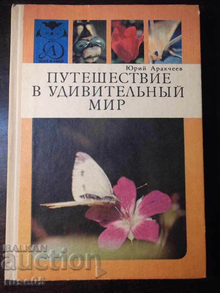 Το βιβλίο "Ταξίδι στον υπέροχο κόσμο-Yu. Arakcheev" - 144 σελίδες.