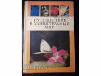 Το βιβλίο "Ταξίδι στον υπέροχο κόσμο-Yu. Arakcheev" - 144 σελίδες.
