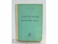 Анатомия на двигателния апарат - Димитър Каданов 1957 г.