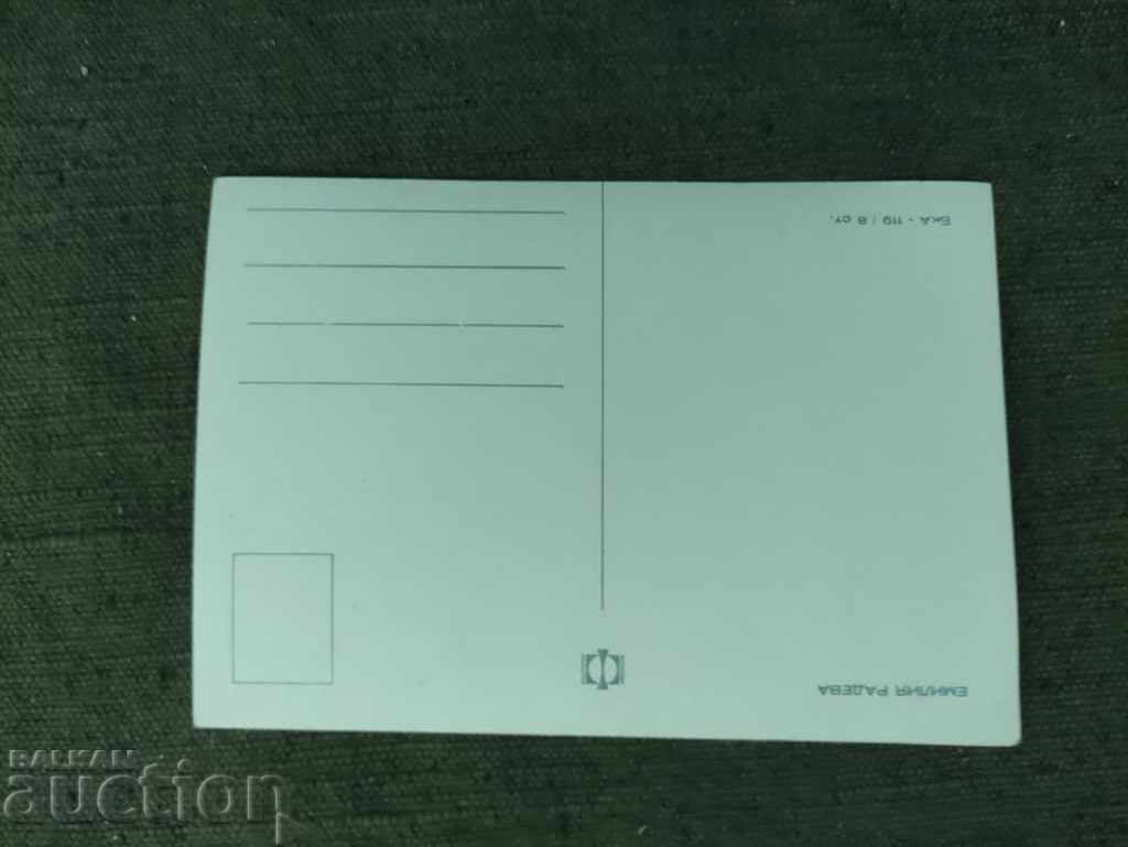 Emilia Radeva with price 500.00 BGN | € 255.65