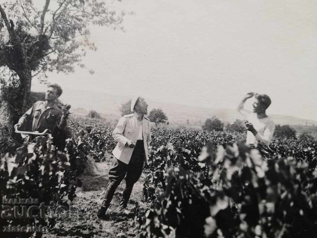 Old photo - with price 5.00 BGN | € 2.56 Old photo - with price 5.00 BGN | € 2.56