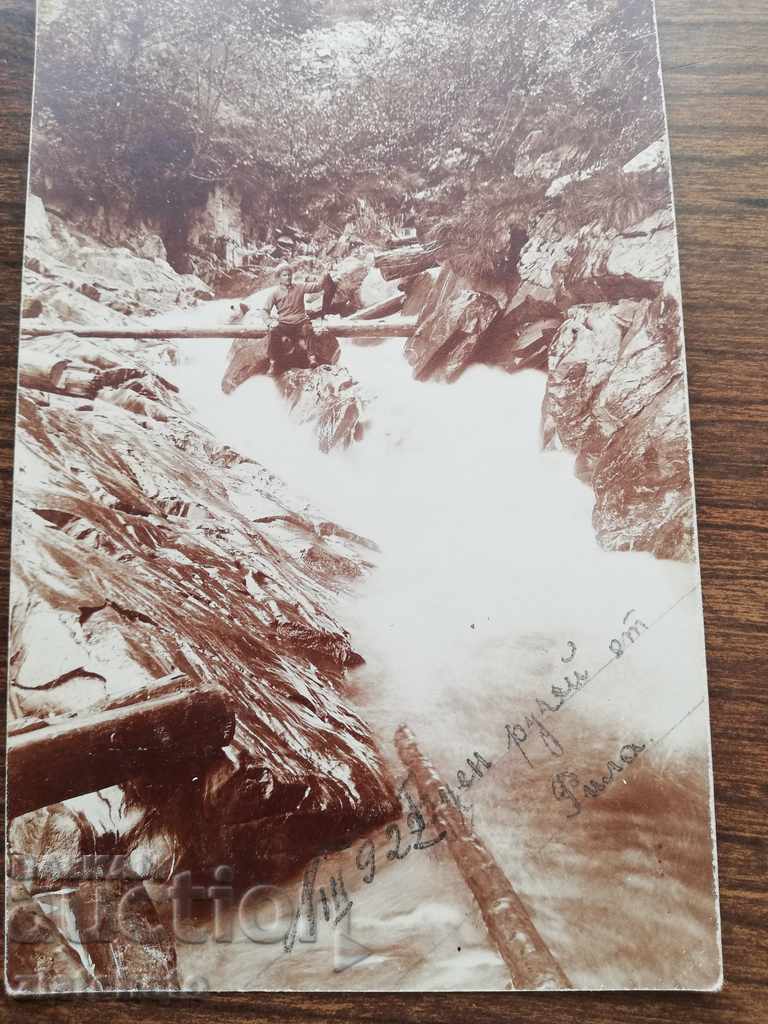 Auction Old photo - Auction Old photo -