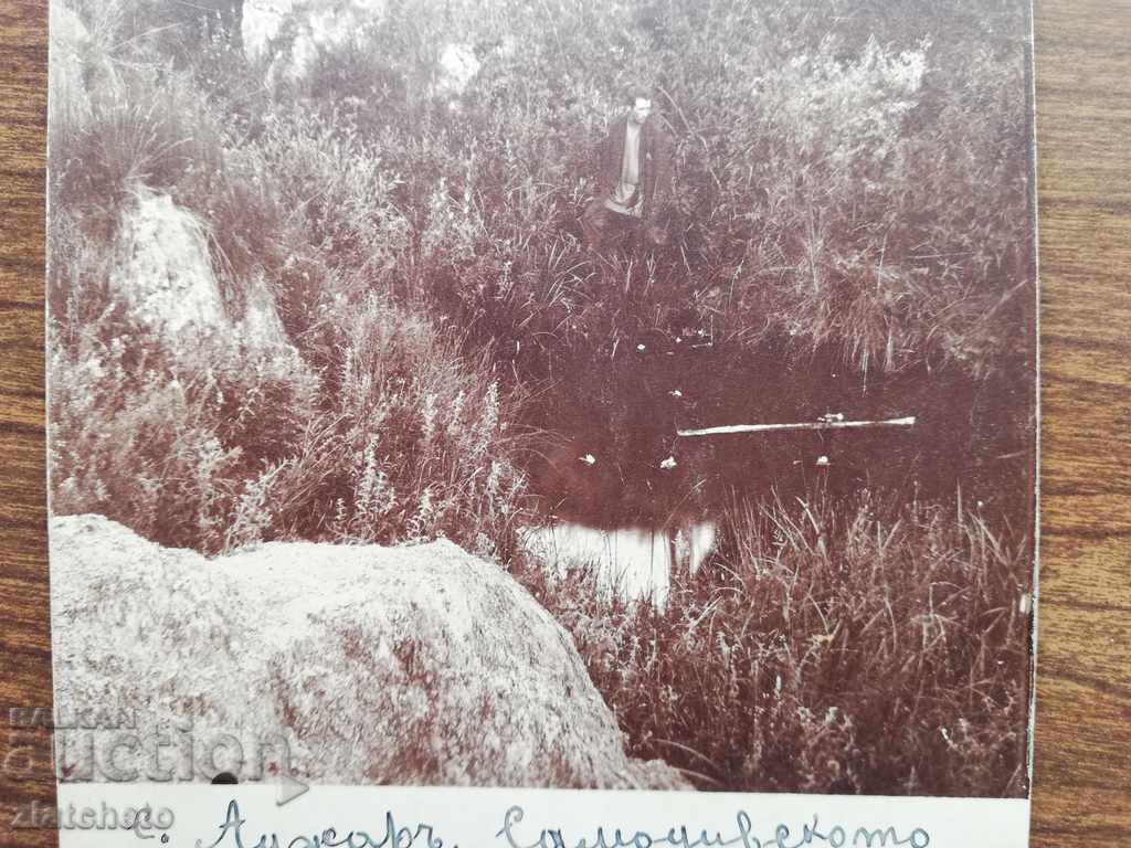 Auction Old photo - Auction Old photo -