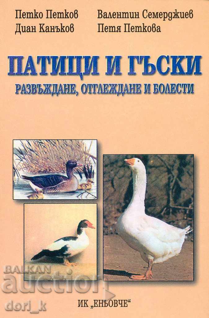 Ducks and geese: breeding, breeding and disease
