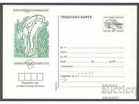 ПК 271-II /1990 - Олимфилекс'90 Варна, дебел картон