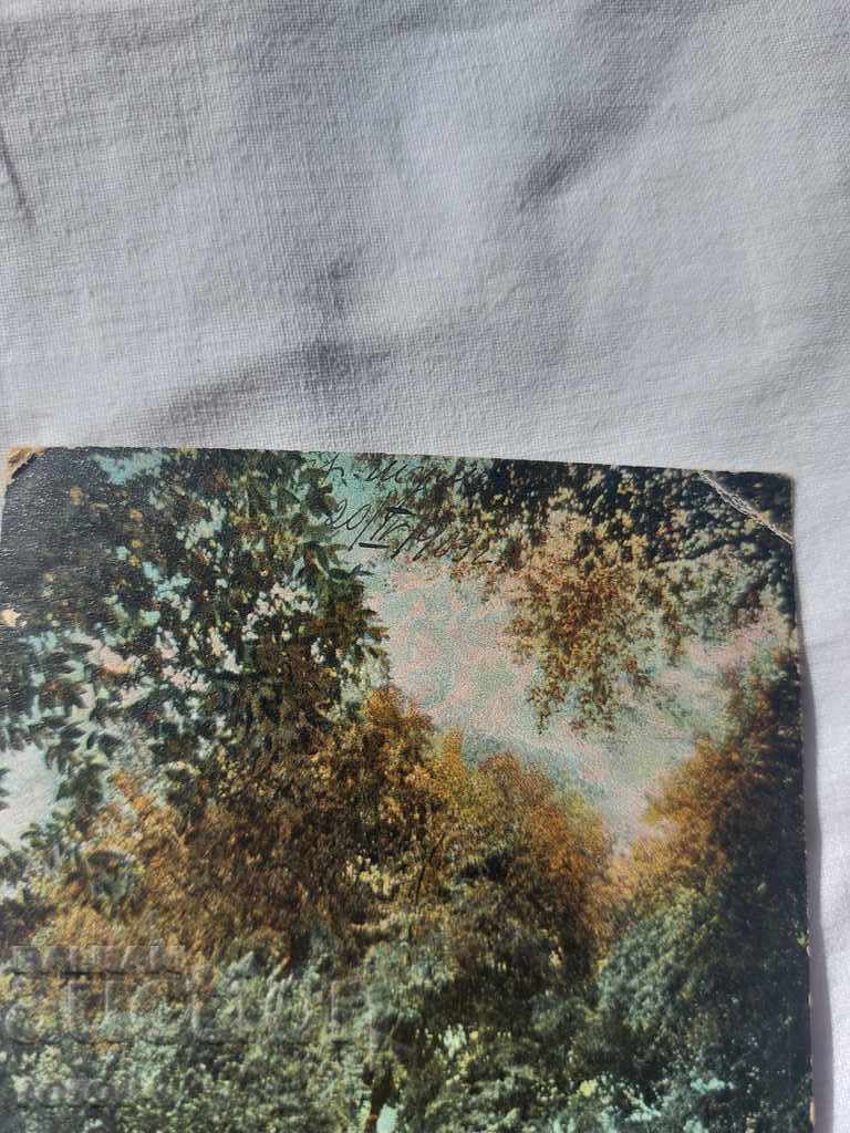 OLD POSTCARD - 1903 - 5 OLD POSTCARD - 1903 - 5