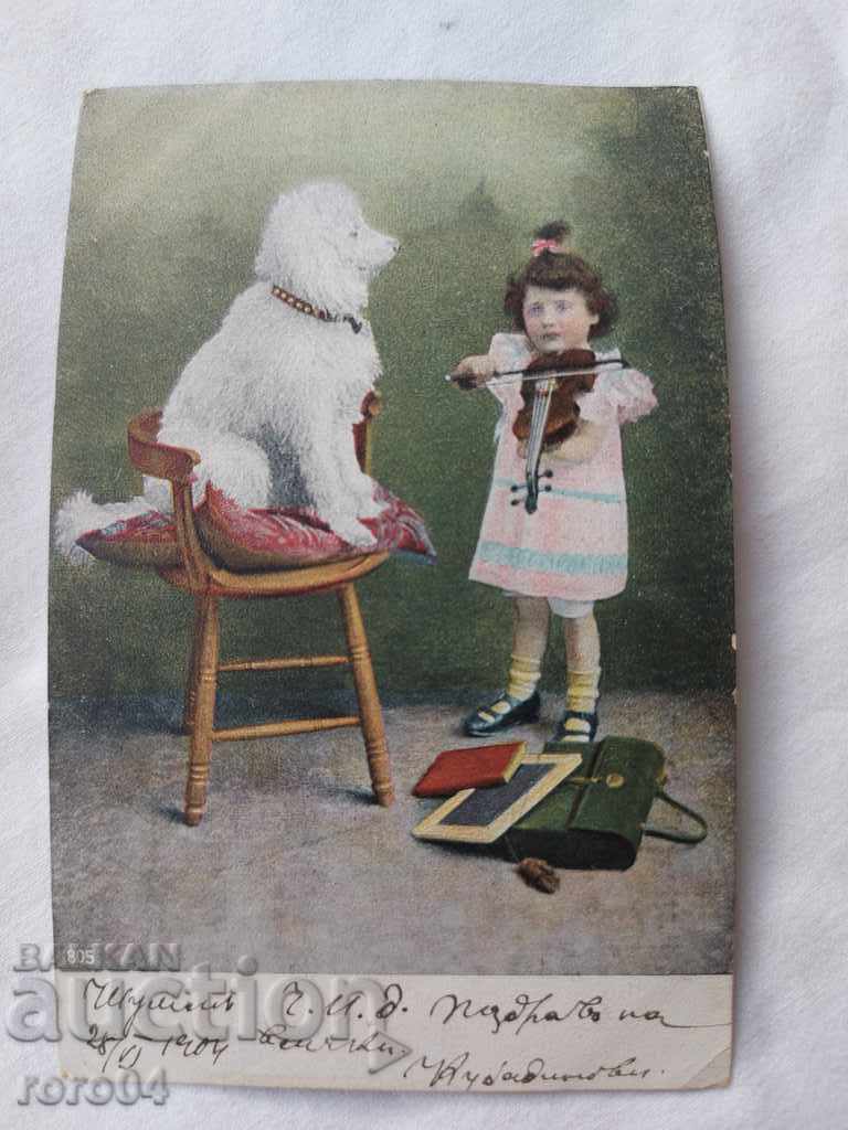 Delivery of OLD POSTCARD - 1904