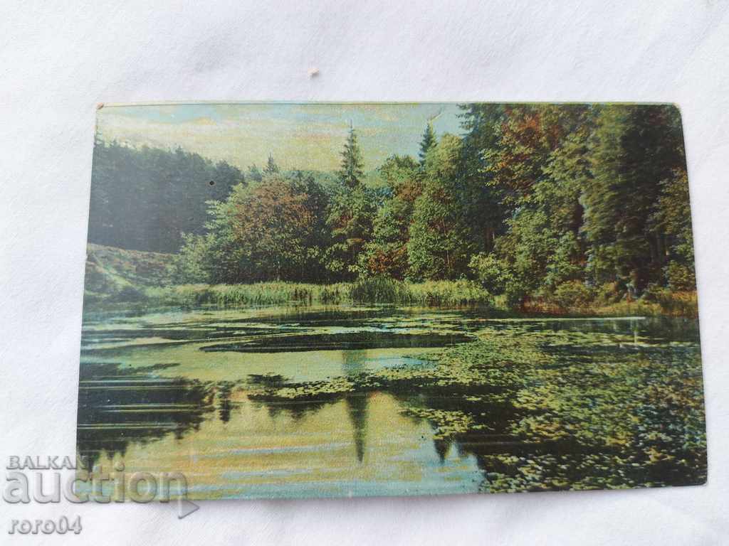 CARTE POșTALĂ VECHE - 1907 - 5 CARTE POșTALĂ VECHE - 1907 - 5