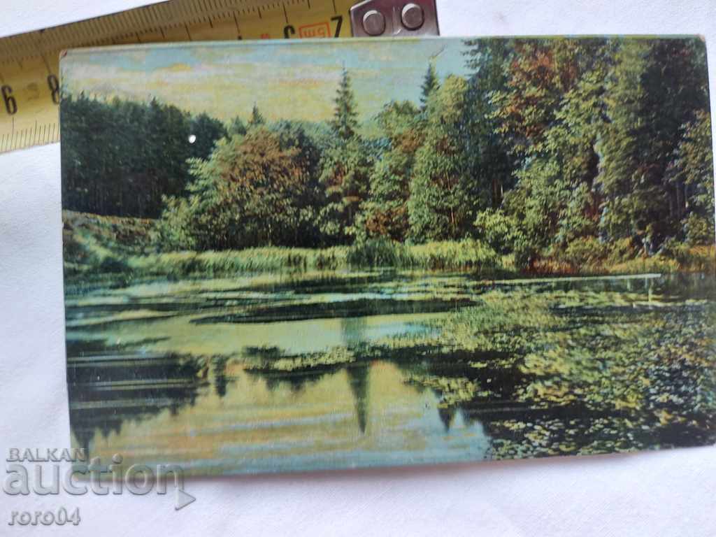 CARTE POșTALĂ VECHE - 1907 - 6 CARTE POșTALĂ VECHE - 1907 - 6