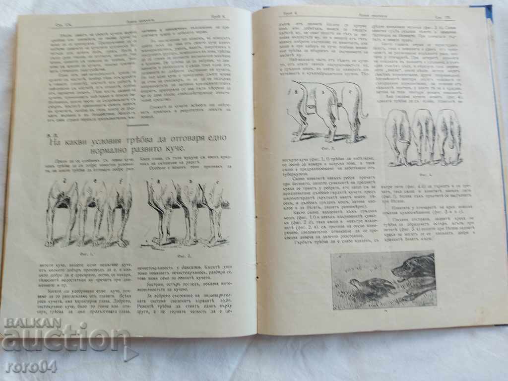 HUNTING ENLIGHTENMENT - 1927 - 6 HUNTING ENLIGHTENMENT - 1927 - 6