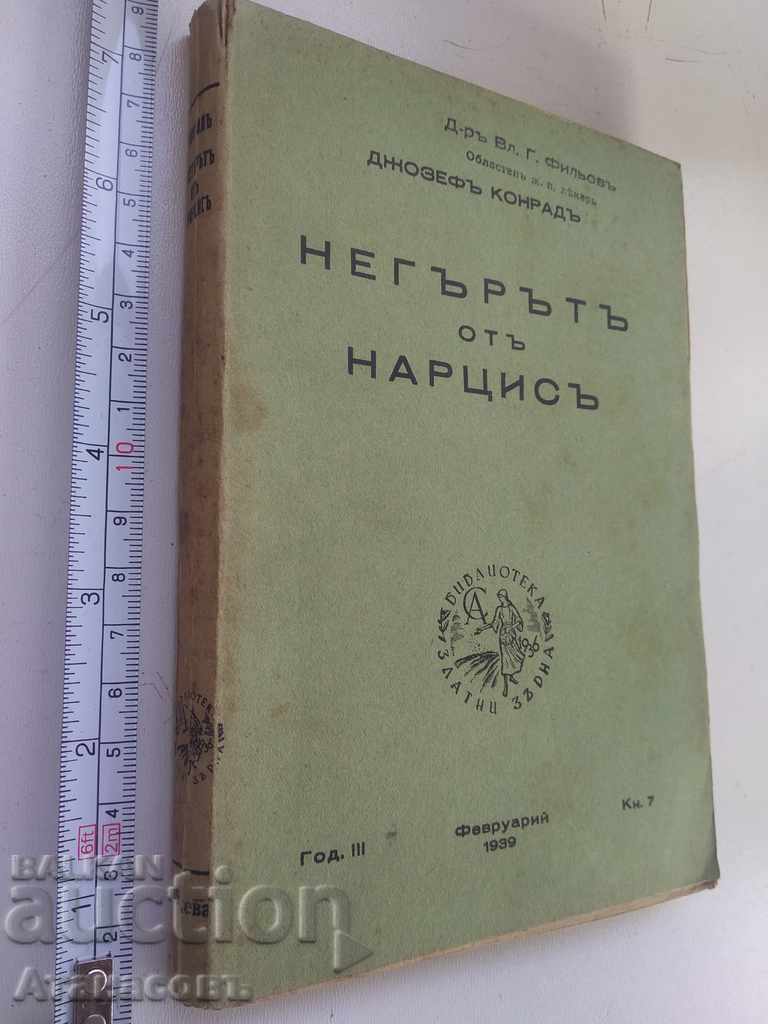 Daffodil Negro Joseph Conrad