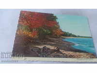 Postcard Shoreline of Lake Superior 1978